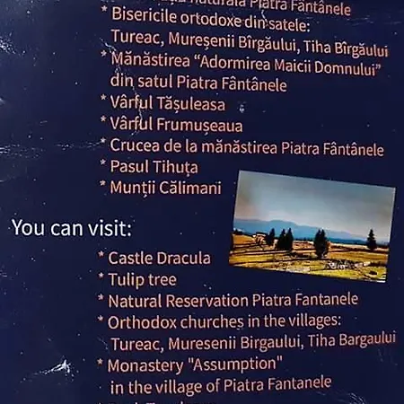 Pensiunea Daniela Pensjonat